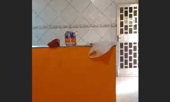 Imagem 5: Alugo uma casa em santa Amélia Belford roxo