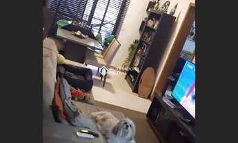 Imagem 3: FLORIANóPOLIS - Apartamento Padrão - Rio Tavares