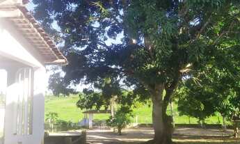 Imagem 5: Chácara em Salgado