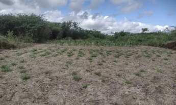 Imagem 2: Terreno No Retiro/Coração de Maria, 2 Tarefas de Terra