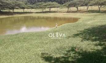 Imagem 2: Chácara à venda, 72600 m² por R$ 3.990.000,00 - Zona Rural - Nhandeara/SP