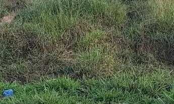 Imagem 2: Lote em Rua Escritor João Cabral de Melo Neto - Belvedere - Ribeirão das Neves/MG