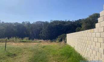 Imagem 7: TERRENO - SANTA CÂNDIDA - SP