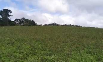 Imagem 2: He Lotes planos em super promoção!