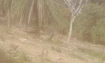 Imagem 4: Chacara rural no sítio novo