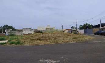 Imagem 4: Terreno Padrão em Bady Bassitt