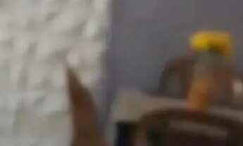 Imagem 4: Alugo apartamento mobiliado na cidade universaria