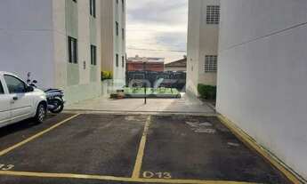 Imagem 5: Apartamento padrão com 2 dormitórios na Vila Jacobucci em São Carlos