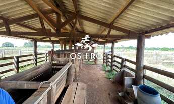 Imagem 7: FAZ. DUPLA APTIDÃO EM BRITÂNIA GO - NIL. CÓD. 13712