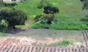 Imagem 2: Vendo Sitio com 7,5 Tarefas sem Casa, na Colônia 13 Lagarto-Se