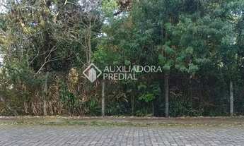 Imagem 3: Terreno à venda em Petrópolis - Caxias do Sul