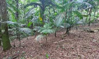 Imagem 6: Excelente terreno em Juquitiba