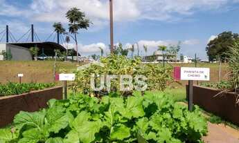 Imagem 12: Lote no Jardins França