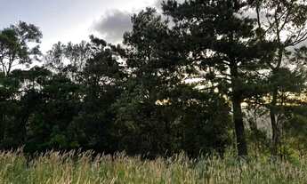 Imagem 7: Terreno - Bairro Vila Dante