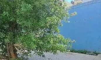 Imagem 2: Locação Casa PORTO ALEGRE RS Brasil