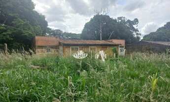 Imagem 7: Barracão, 2000 m² - venda por R$ 8.000.000,00 ou aluguel por R$ 20.054,61/mês - Cilo 3 - L