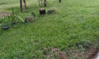 Imagem: Vende-se uma excelente fazenda de 226 hectares