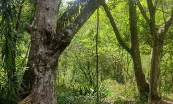Imagem 6: 10000 metros com curso dágua no centro do terreno. Condomínio Sete Lagos