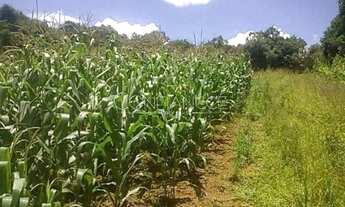 Imagem 5: Area a venda em Campo Magro - PR