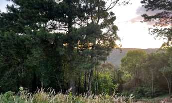 Imagem 4: Terreno - Bairro Vila Dante