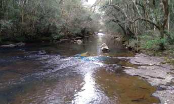 Imagem 2: Sítio à venda, 242000 m² por R$ 1.100.000,00 - Rural - Guaraniaçu/PR