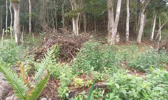 Imagem 4: Oportunidade 3 mil mts 57 mil reais