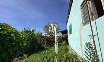 Imagem 3: NÃO ACEITA FINANCIAMENTO) Chácara com 04 dormitórios à venda em no bairro Chácaras Cruzei