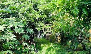 Imagem 7: Terreno Comercial à Venda no Cidade Nova em Indaiatuba/SP - TE0931