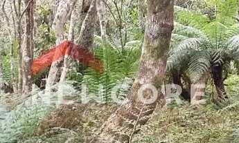 Imagem: Lote em Rua Quatis - Colinas - São Francisco