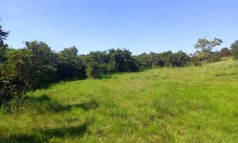 Imagem 5: Chácara de 2,9 hectares toda no cerradão bruto sem benfeitorias, toda cercada