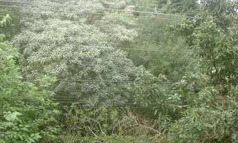 Imagem 5: Lote em Rua José de Moraes Costa - Granja Viana - Cotia/SP