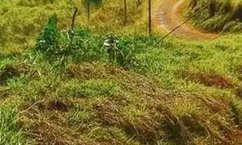 Imagem: Lotes para venda tem 500 metros quadrados