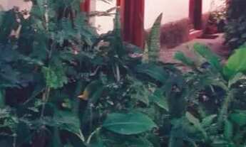 Imagem: Aluguel de Conjugado