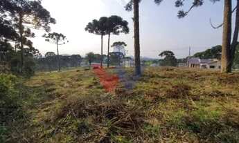 Imagem 7: Lote 9, Quadra 2 no Betaville Vista Permanente para a Serra do Mar