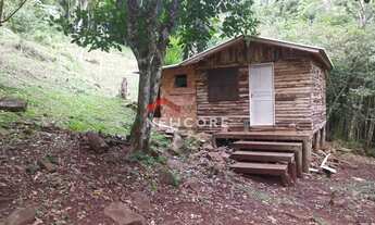 Imagem: Sítio em Rua Samambaia - Samambaia - São