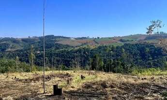 Imagem 5: Oportunidade de Investimento em Condomínio no Bairro Colégio 500m²