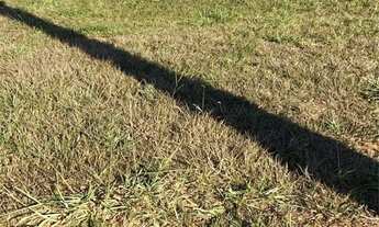 Imagem 3: Lote Jardins Veneza - Direto com proprietário