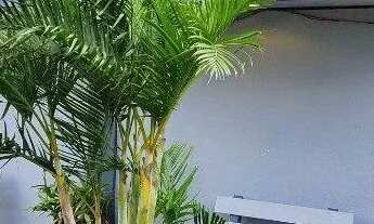 Imagem: Kitnet em Vila São José