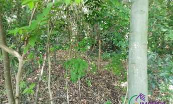 Imagem 7: TERRENO - RESIDENCIAL JARDIM PARANÁ - SP