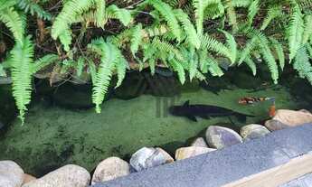 Imagem 6: Prédio à venda, 1008 m² por R$ 6.000.000,00 - Marco - Belém/PA