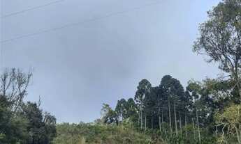 Imagem 7: Oportunidade Única: Área Produtiva e de Lazer no Tarumã Agudos do Sul