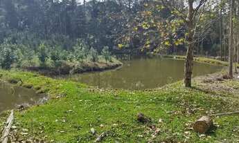 Imagem: Oportunidade Única Área Produtiva e de