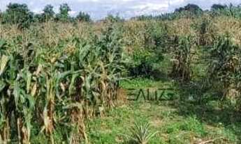 Imagem 6: Área à venda, 45000 m² por R$ 1.200.000 - Área Rural - Monte Mor/SP