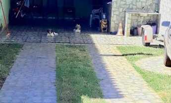 Imagem 3: Aluguel casa!! Casa com 1 dormitório