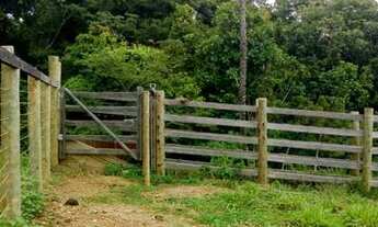 Imagem 7: Chácara 7 alq pego carro camionete