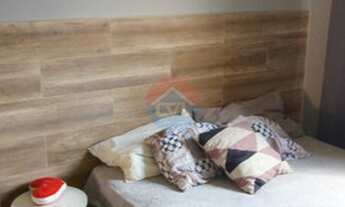 Imagem 4: Ótima Residencia