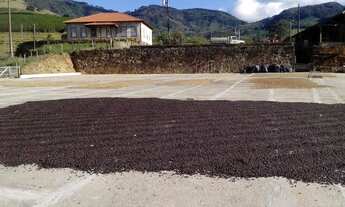 Imagem 4: Fazenda à Venda na Região de Carmo de Minas MG