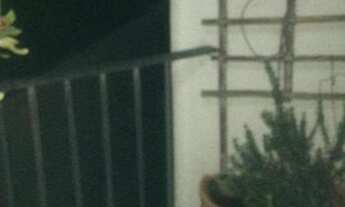 Imagem 4: Apartamento com 3 dormitórios à venda, 75 m² por R$ 489.000,00 - Planalto Paulista - São P