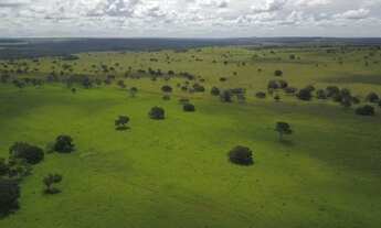 Imagem 4: Fazenda 487 Alqueires Municipio Serranopolis