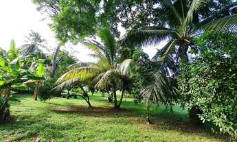 Imagem 5: Casa de condomínio térrea para venda tem 500 metros quadrados com 4 quartos